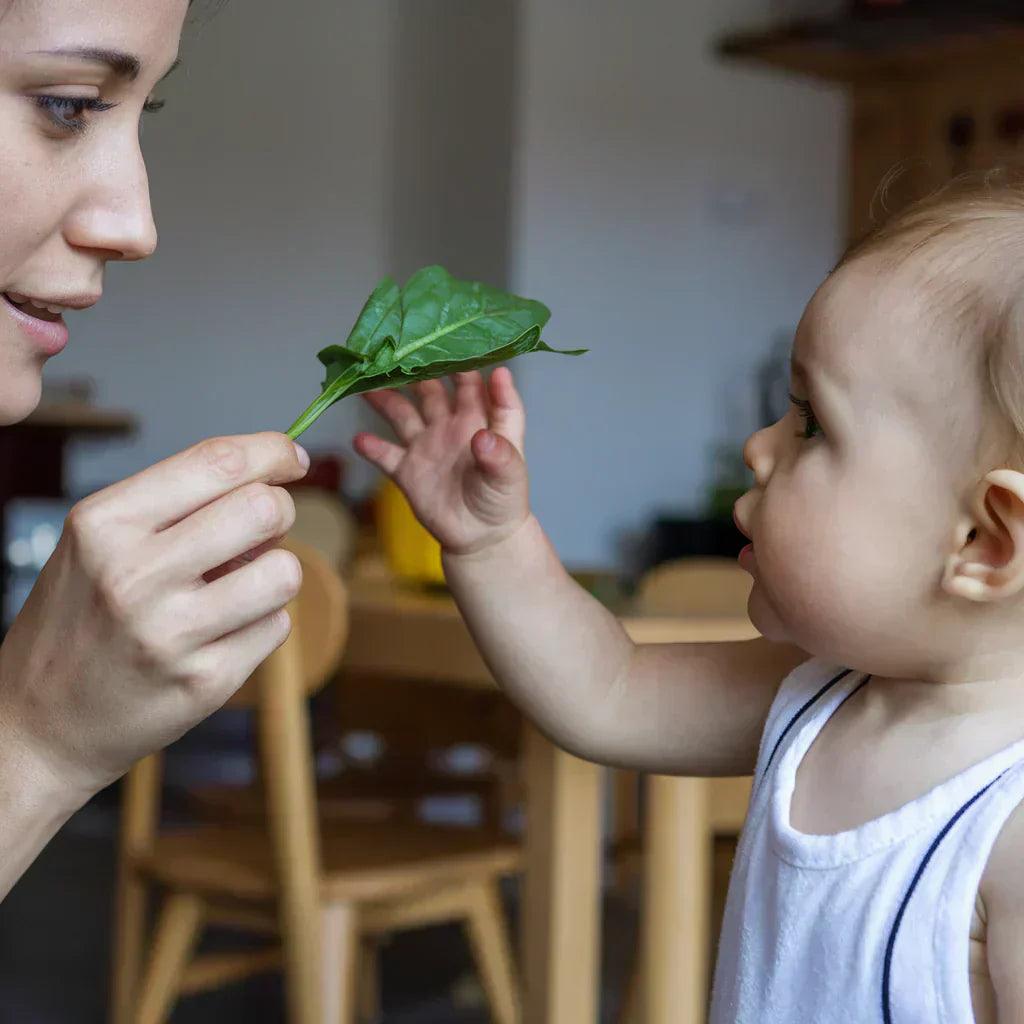 10 Proven Tips for Fussy Eaters – Introducing Healthy Foods for Your Picky Eater - Optivance