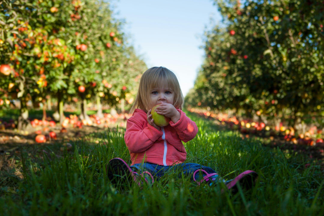 Understanding Vitamins & Nutrition for Toddlers - Optivance