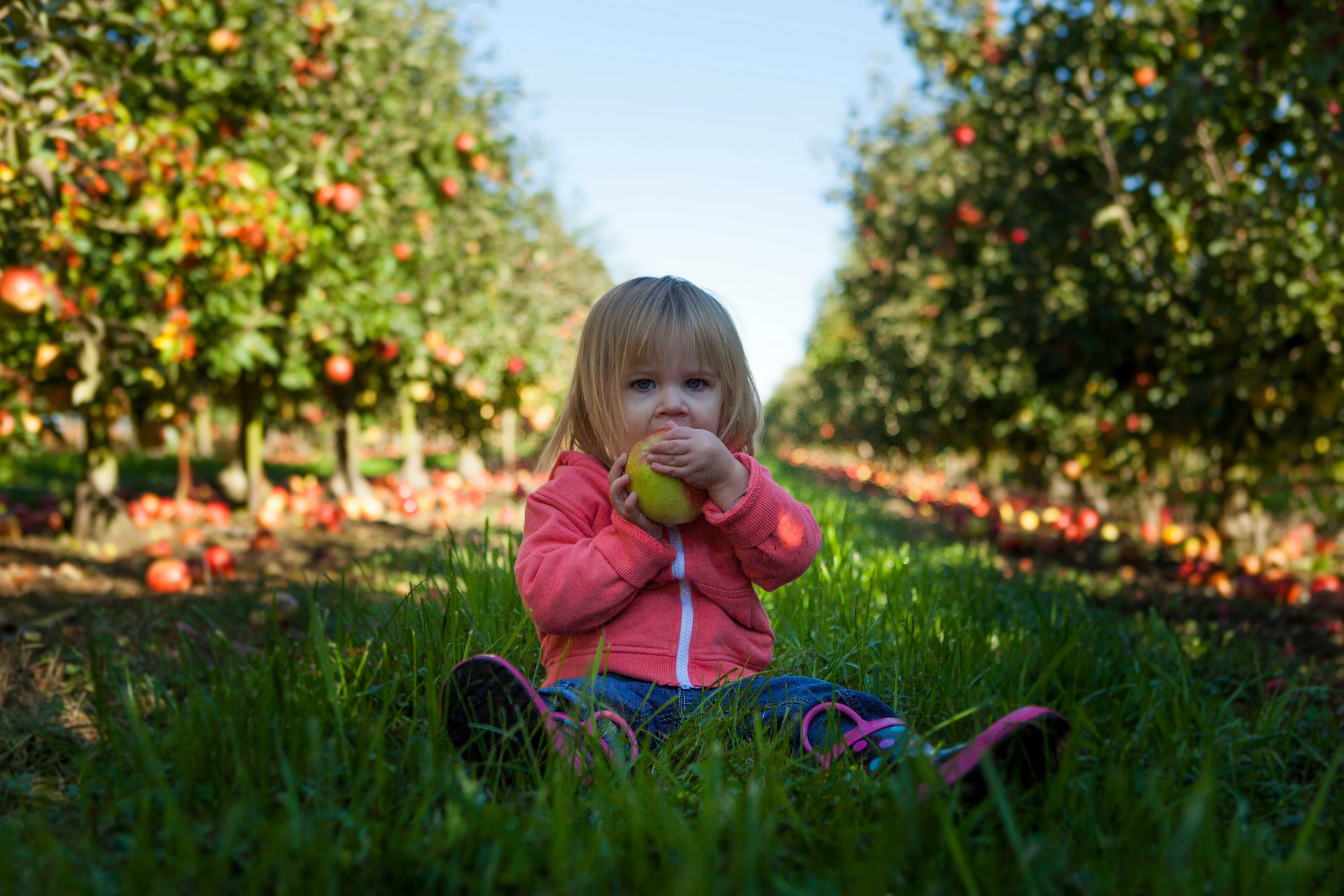 Toddler with fruit in hand