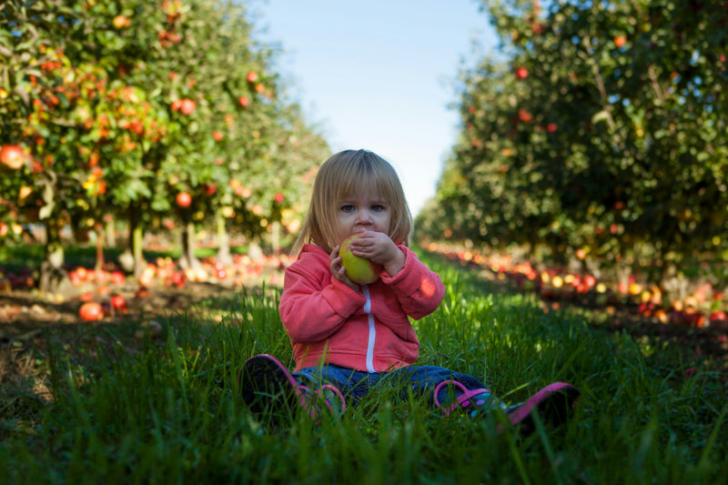 Understanding Vitamins & Nutrition for Toddlers - Optivance